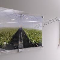 Placa Acrílico com Imagem - FOTO 2